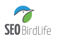 SEO/BirdLife